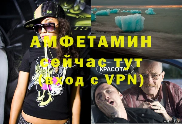 шишки Алзамай