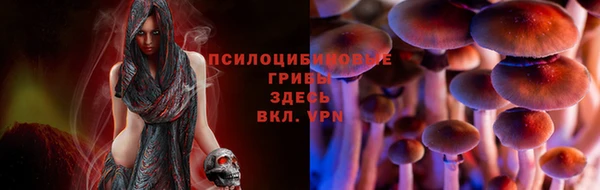 mix Алексеевка
