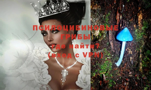 шишки Алзамай